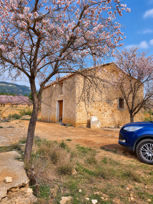 imagen 1 de Finca de 5,5 hectáreas con almendros, olivos y posibilidad de construir vivienda – 30.000 €