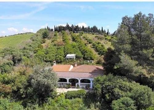 imagen 4 de Finca en San martín del tesorillo