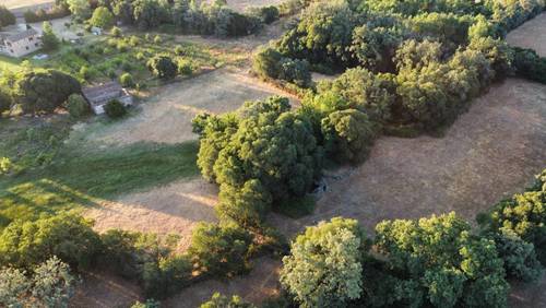 imagen 17 de Finca en sierra de GREDOS