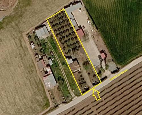 imagen 3 de PARCELA RUSTICA 2000 M2 BIENVENIDA BADAJOZ