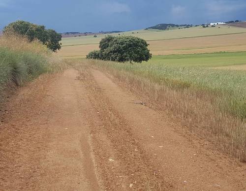 imagen 3 de Finca fuente obejuna
