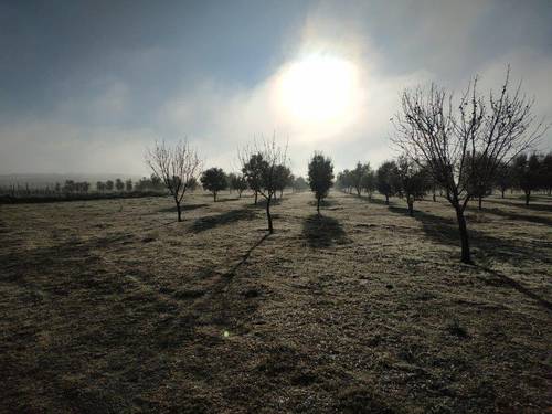 imagen 10 de Trufera de boutique